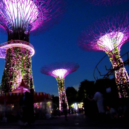 66042131_451459685676552_6218872345482756096_n